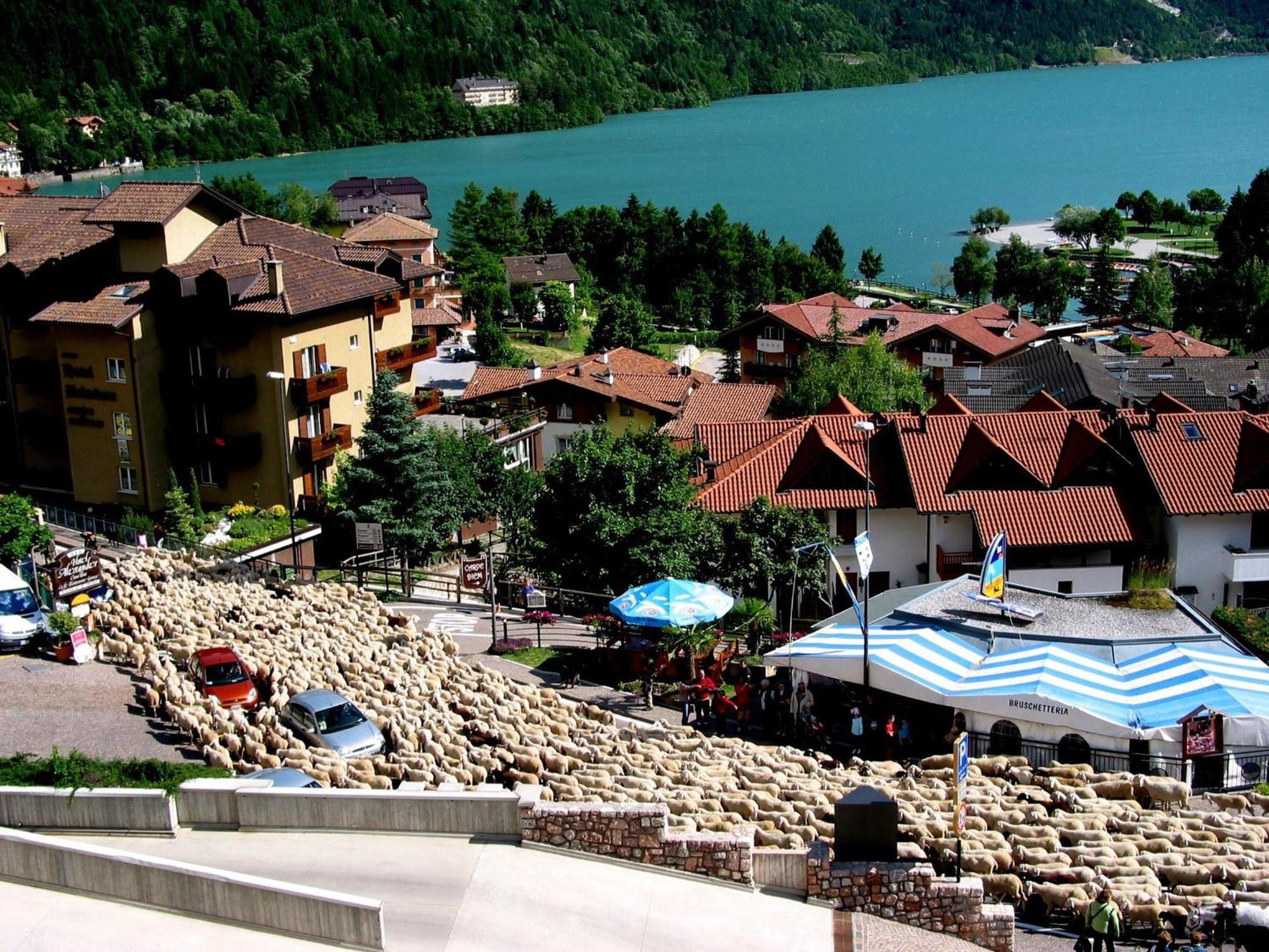 Albergo Stella Alpina Molveno Exteriér fotografie